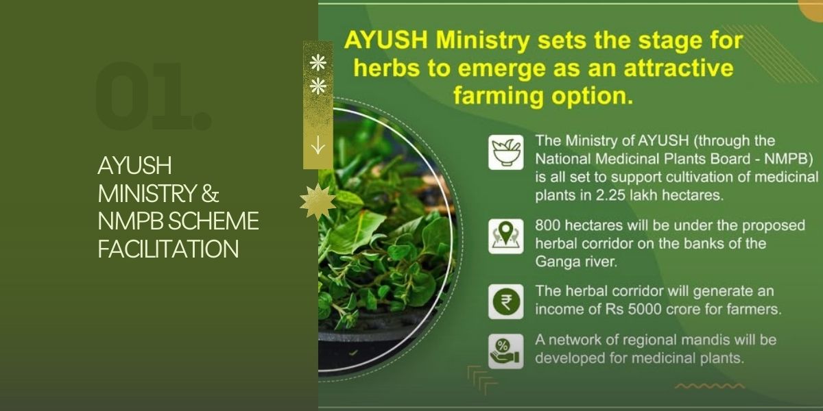 ayush-ministry-nmpb-scheme-facilitation